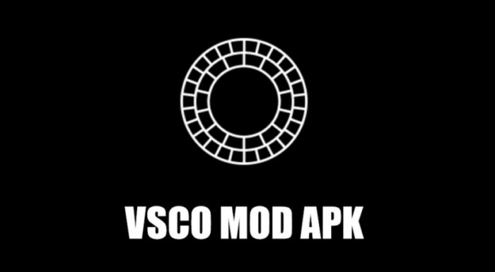Apa Itu VSCO MOD APK Premium Unlocked