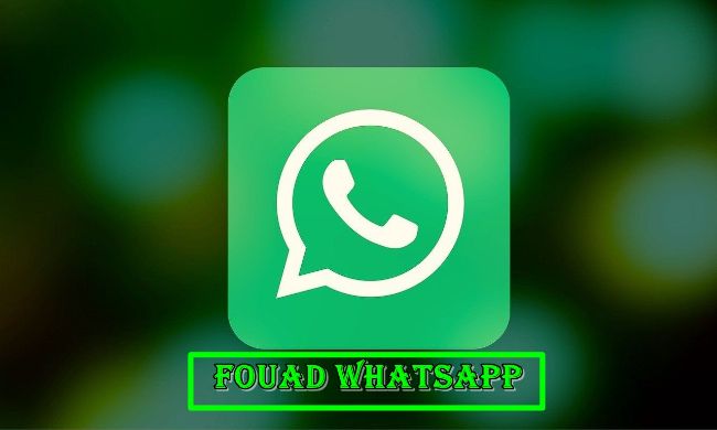 Fouad WhatsApp Download