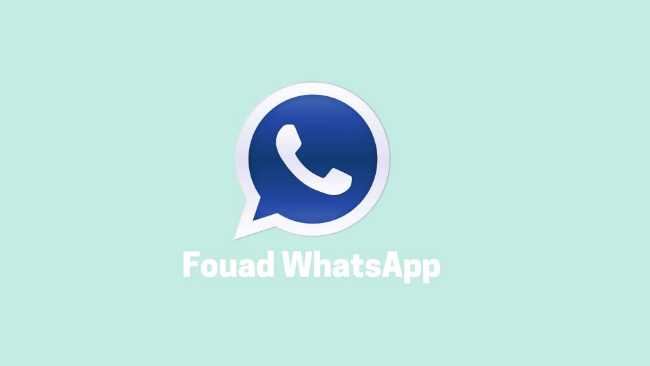 Fouad WhatsApp