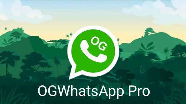 Kelebihan dan Fitur Premium OG WhatsApp