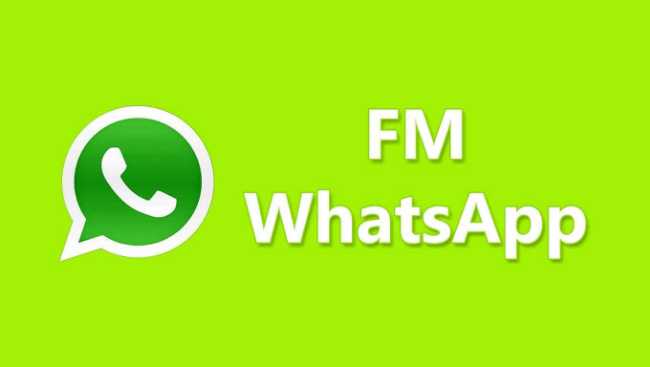 Perbedaan WA Official dengan FM WhatsApp Apk