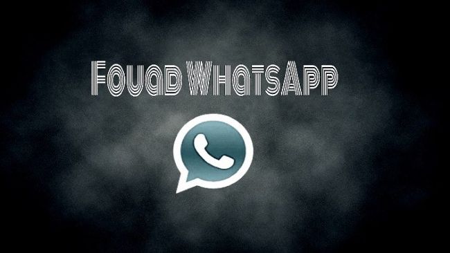 Review Singkat Fouad WhatsApp