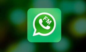 Update Link Download FM WhatsApp Anti Banned Versi Terbaru 2022