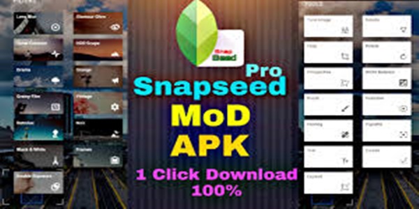 Berikut Fitur Unggulan Snapseed Mod Apk