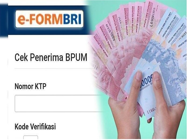 Cara Cek Bantuan UMKM BRI Online