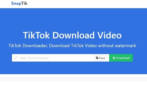 Cara Download Video Tiktok Di SnapTik
