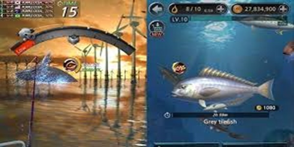 Fishing Hook Mod Apk