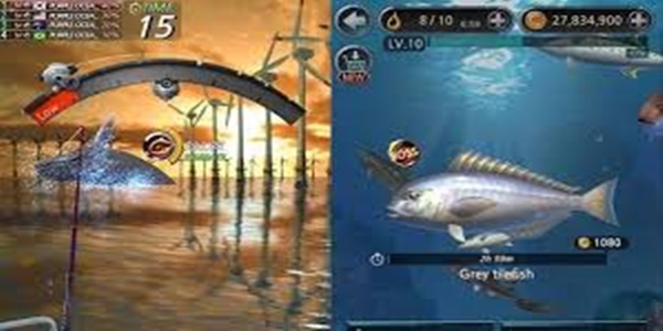 Fishing Hook Mod Apk