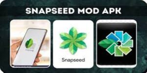 Snapseed Mod Apk Unlocked All Premium Update Terbaru 2023
