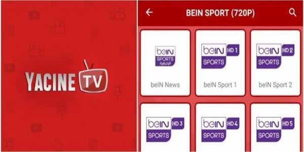 Cara Install Yacine TV Apk Pada Android Dan iOS