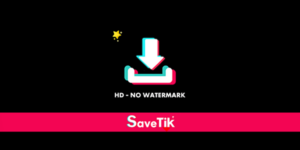 Savetik Apk - Download Video TikTok Tanpa Watermark (Gratis)